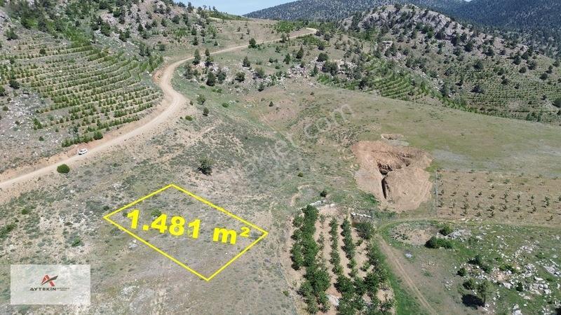 Bahçelerin Yanında 1.481 M² Müstakil Tapu Bahçelik Tarla — fotoğraf 3