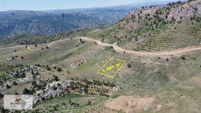 Bahçelerin Yanında 1.481 M² Müstakil Tapu Bahçelik Tarla — fotoğraf 4