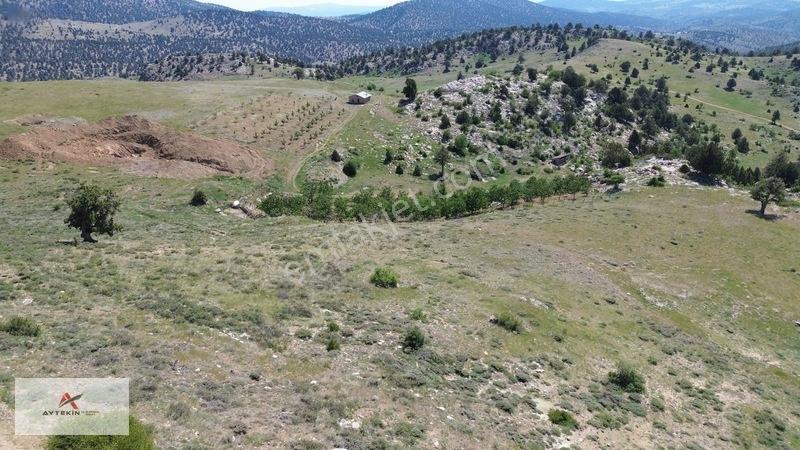 Bahçelerin Yanında 1.481 M² Müstakil Tapu Bahçelik Tarla — fotoğraf 7