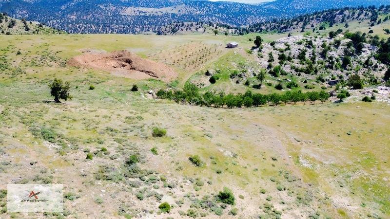 Bahçelerin Yanında 1.481 M² Müstakil Tapu Bahçelik Tarla — fotoğraf 8