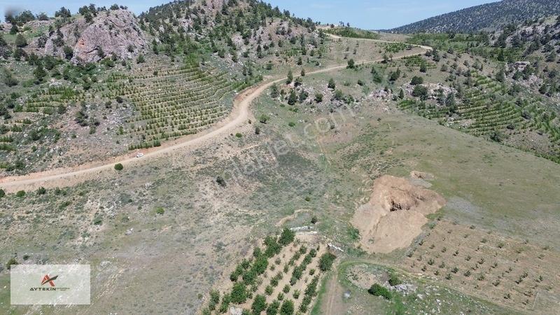 Bahçelerin Yanında 1.481 M² Müstakil Tapu Bahçelik Tarla — fotoğraf 10