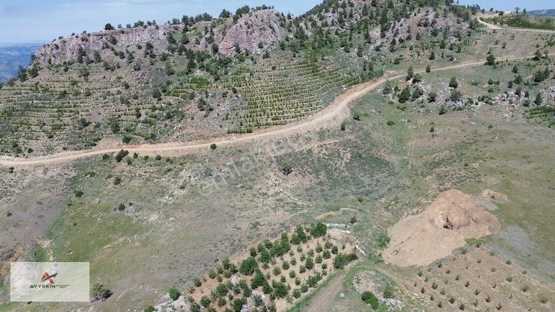 Bahçelerin Yanında 1.481 M² Müstakil Tapu Bahçelik Tarla — fotoğraf 11