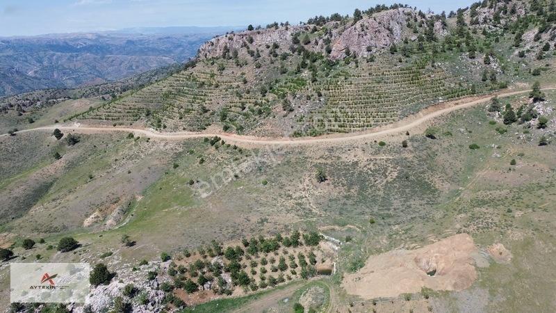Bahçelerin Yanında 1.481 M² Müstakil Tapu Bahçelik Tarla — fotoğraf 13