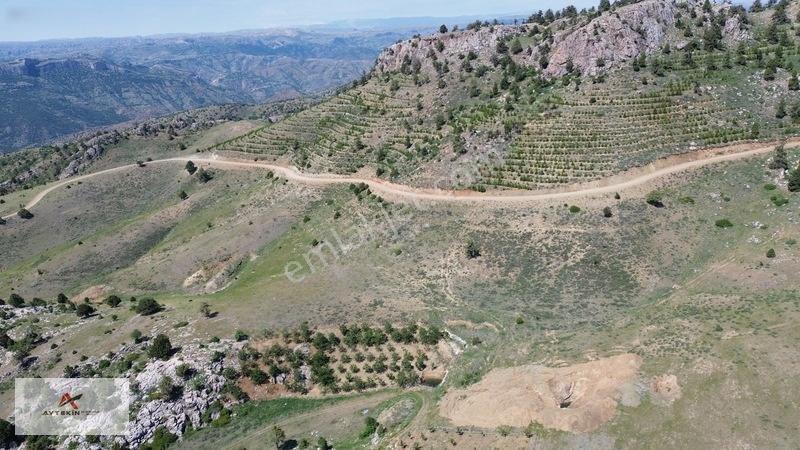 Bahçelerin Yanında 1.481 M² Müstakil Tapu Bahçelik Tarla — fotoğraf 14