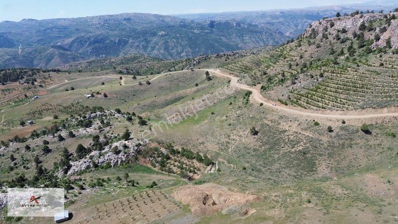 Bahçelerin Yanında 1.481 M² Müstakil Tapu Bahçelik Tarla — fotoğraf 15