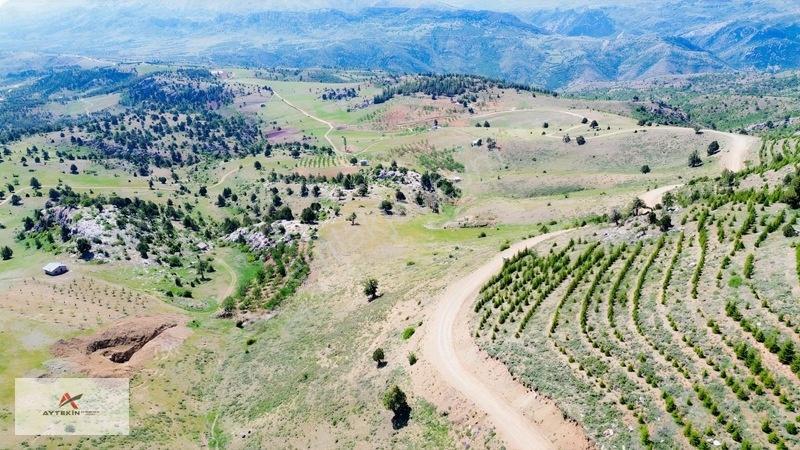 Bahçelerin Yanında 1.481 M² Müstakil Tapu Bahçelik Tarla — fotoğraf 18