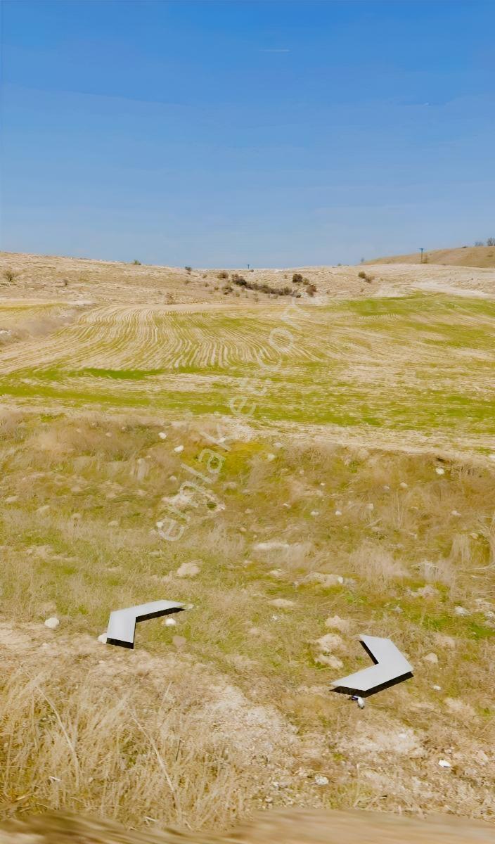 Meram Kayadibi'nde Yola Sıfır 6.018 M² Satılık Tarla — fotoğraf 3