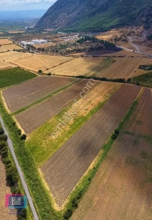 Manisa Çoban İsa Mahallesinde Hamalin Kırında Satılık Arazi — fotoğraf 5