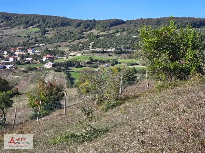 Kandıra Akıncıda Arkası Orman, Önü Kapanmaz 4.674 M² Tarla — fotoğraf 2