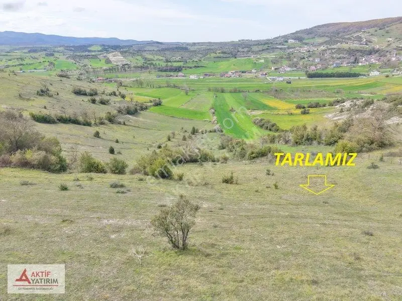 Kandıra Akıncıda Arkası Orman, Önü Kapanmaz 4.674 M² Tarla — fotoğraf 5