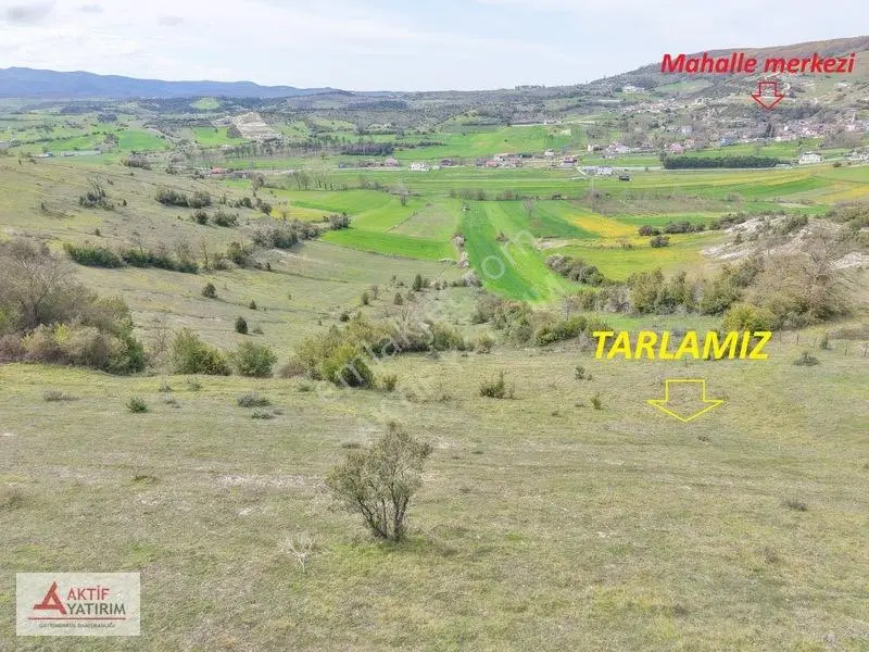 Kandıra Akıncıda Arkası Orman, Önü Kapanmaz 4.674 M² Tarla — fotoğraf 6