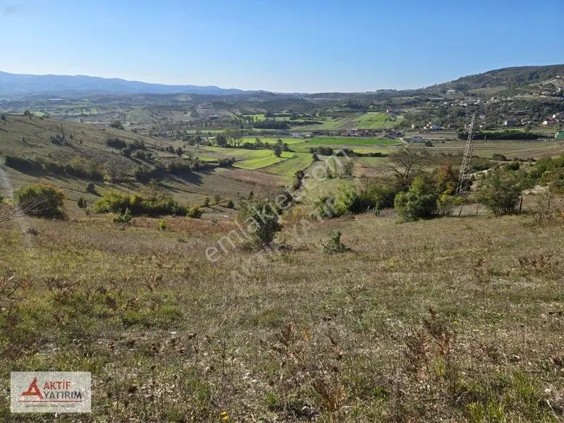 Kandıra Akıncıda Arkası Orman, Önü Kapanmaz 4.674 M² Tarla — fotoğraf 9