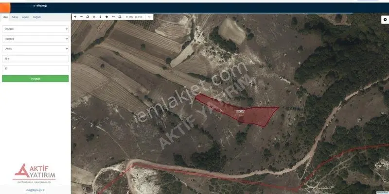 Kandıra Akıncıda Arkası Orman, Önü Kapanmaz 4.674 M² Tarla — fotoğraf 11