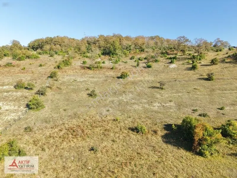 Kandıra Akıncıda Arkası Orman, Önü Kapanmaz 4.674 M² Tarla — fotoğraf 13