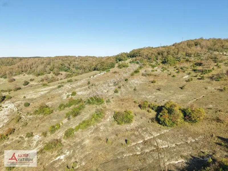 Kandıra Akıncıda Arkası Orman, Önü Kapanmaz 4.674 M² Tarla — fotoğraf 14