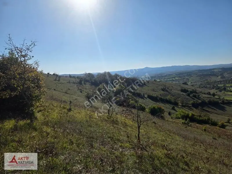 Kandıra Akıncıda Arkası Orman, Önü Kapanmaz 4.674 M² Tarla — fotoğraf 20