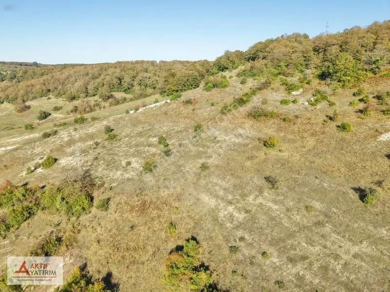 Kandıra Akıncıda Arkası Orman, Önü Kapanmaz 4.674 M² Tarla — fotoğraf 28