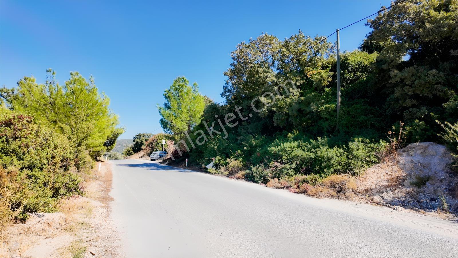 Urla Yenicede Deniz Manzaralı Tek Parsel Tek Tapu Satılık Tarla — fotoğraf 5