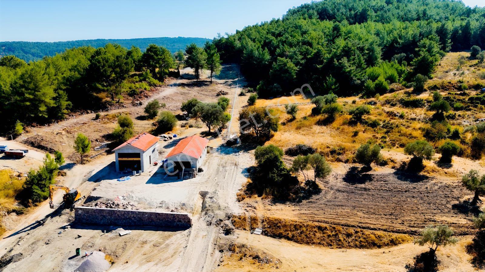 Urla Yenicede Deniz Manzaralı Tek Parsel Tek Tapu Satılık Tarla — fotoğraf 7