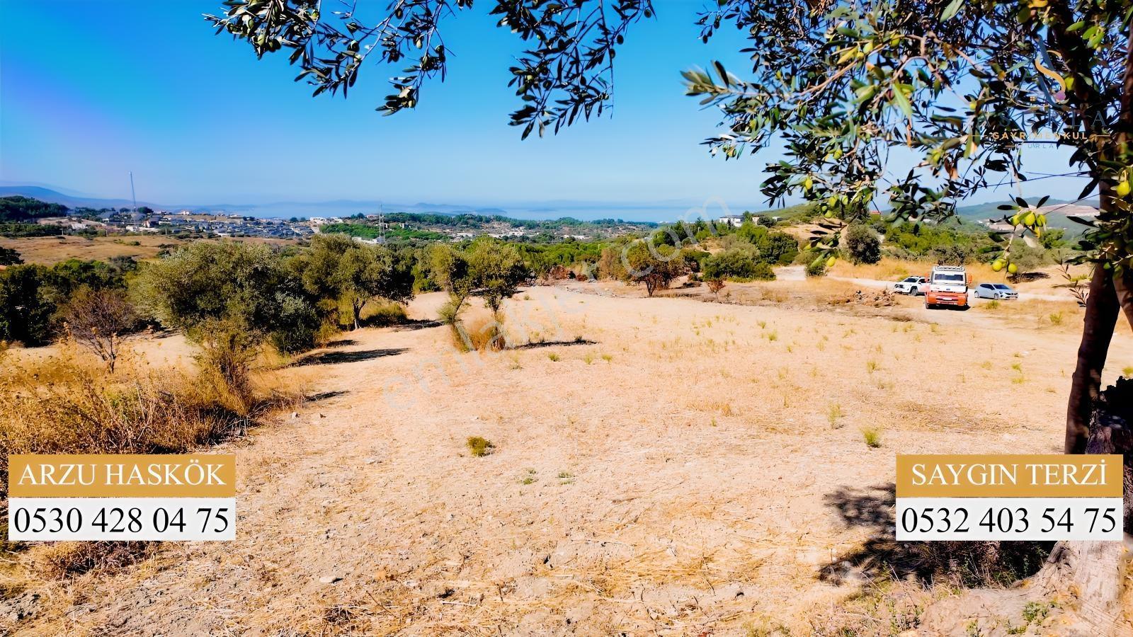 Urla Yenicede Deniz Manzaralı Tek Parsel Tek Tapu Satılık Tarla — fotoğraf 8