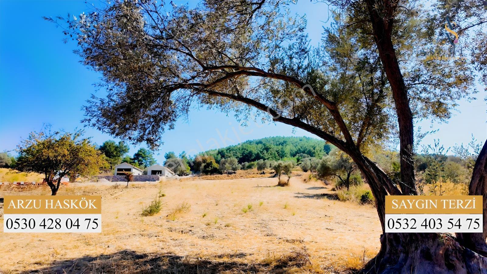 Urla Yenicede Deniz Manzaralı Tek Parsel Tek Tapu Satılık Tarla — fotoğraf 10