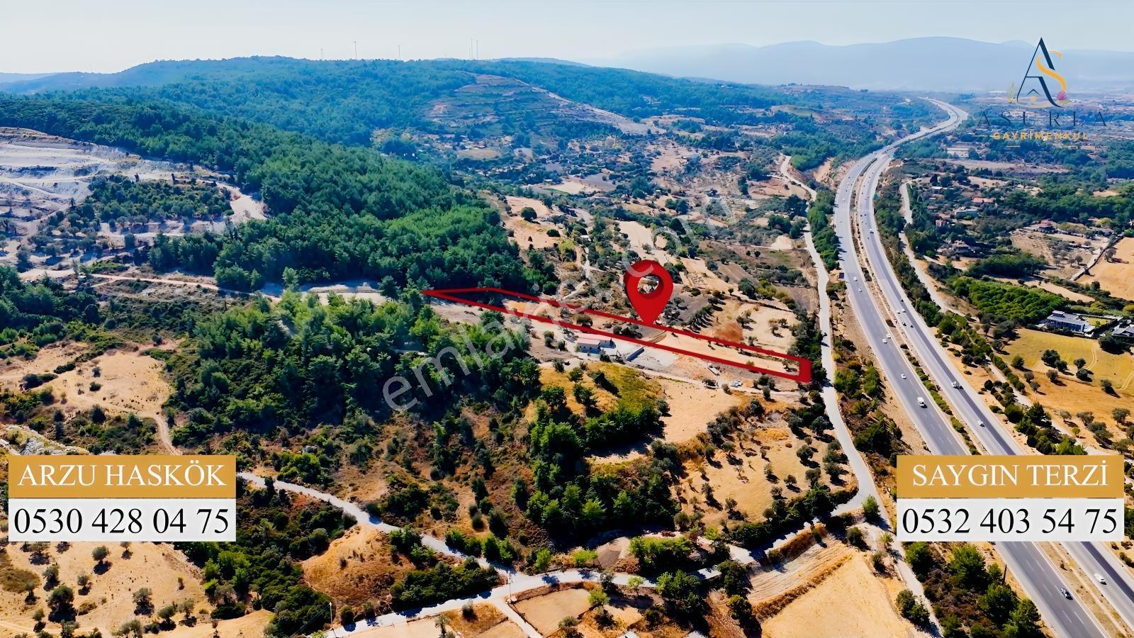 Urla Yenicede Deniz Manzaralı Tek Parsel Tek Tapu Satılık Tarla — fotoğraf 12