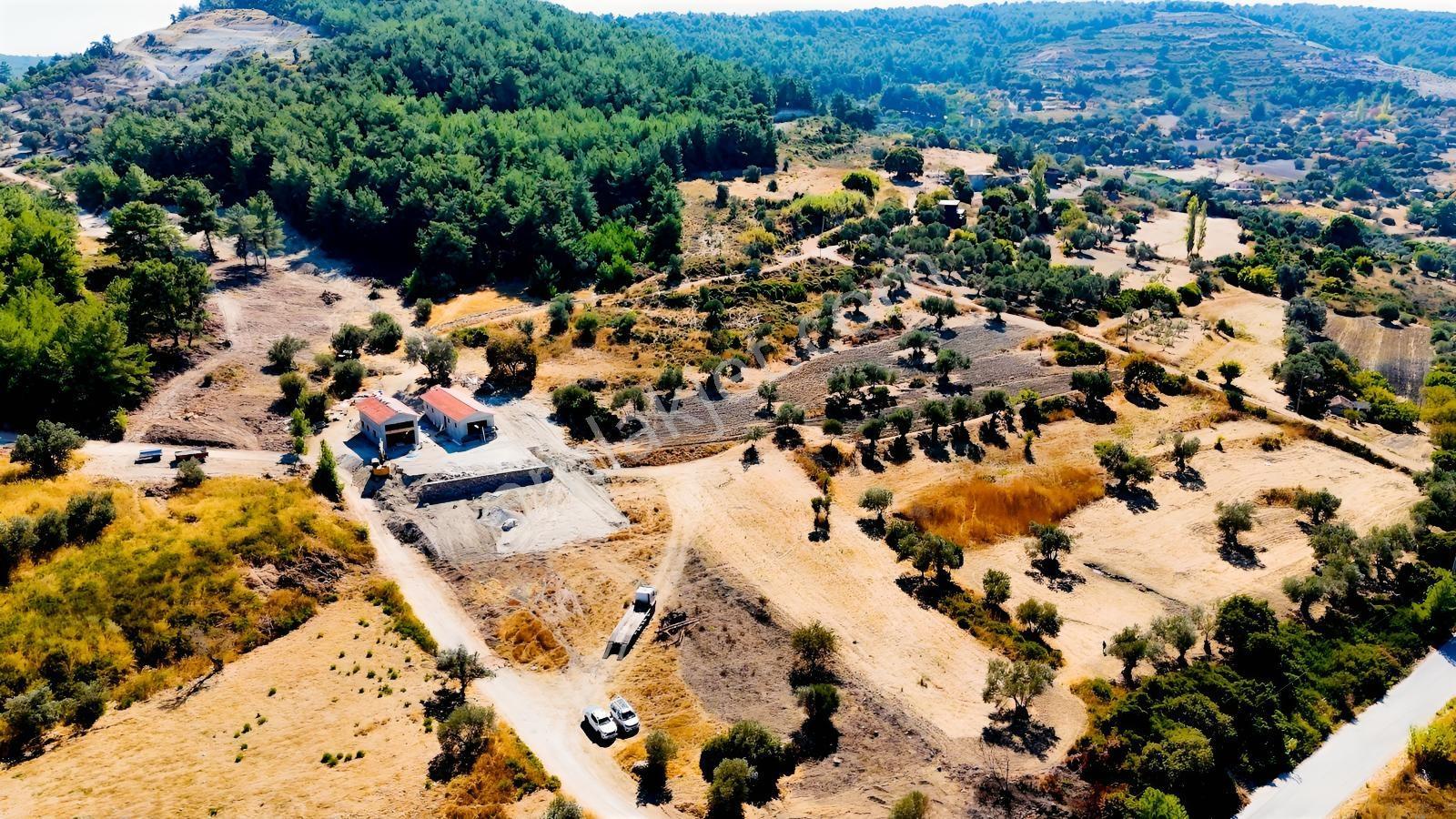 Urla Yenicede Deniz Manzaralı Tek Parsel Tek Tapu Satılık Tarla — fotoğraf 22