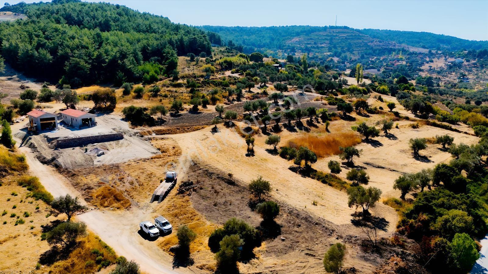 Urla Yenicede Deniz Manzaralı Tek Parsel Tek Tapu Satılık Tarla — fotoğraf 24