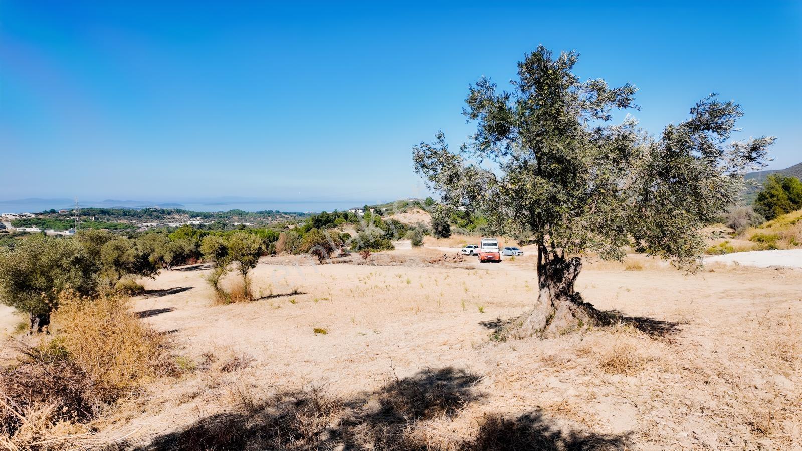 Urla Yenicede Deniz Manzaralı Tek Parsel Tek Tapu Satılık Tarla — fotoğraf 29
