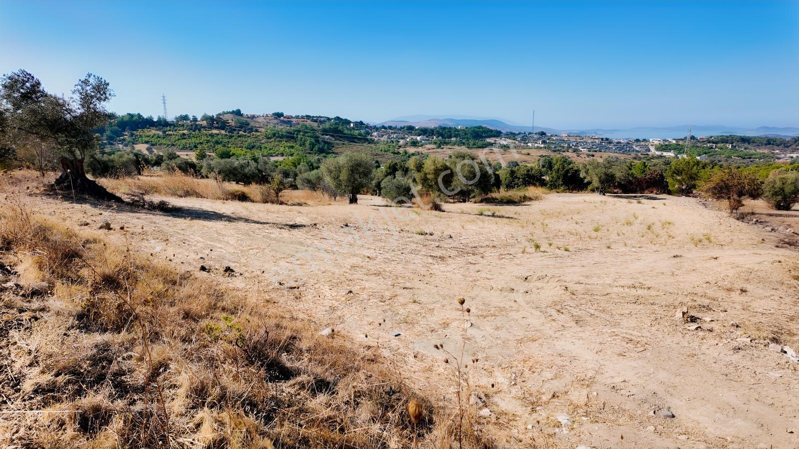 Urla Yenicede Deniz Manzaralı Tek Parsel Tek Tapu Satılık Tarla — fotoğraf 31