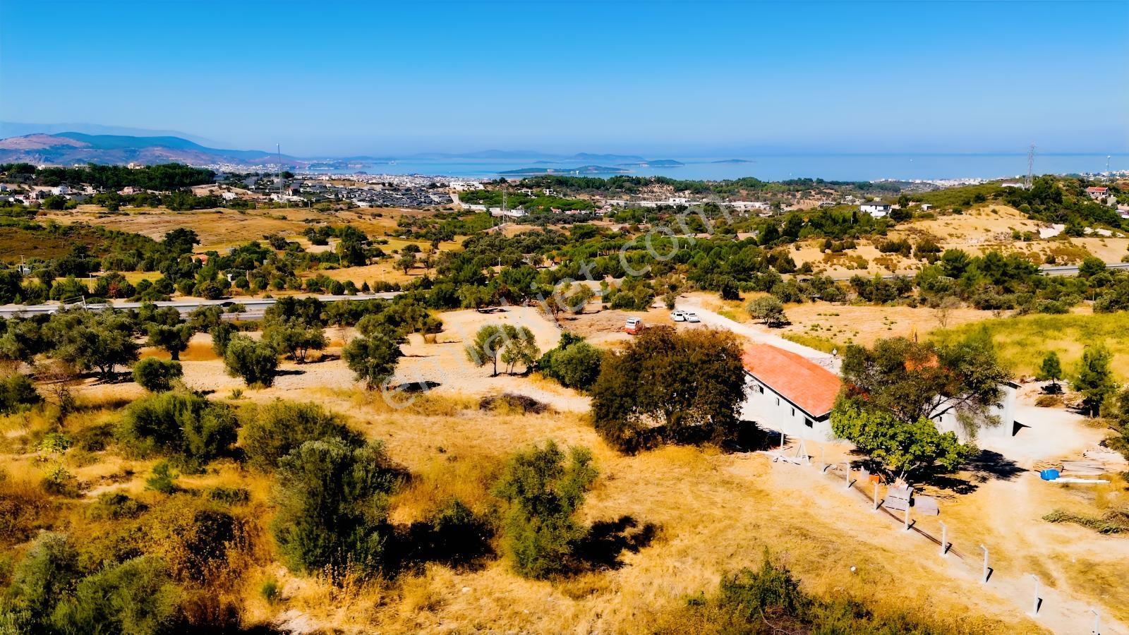 Urla Yenicede Deniz Manzaralı Tek Parsel Tek Tapu Satılık Tarla — fotoğraf 34