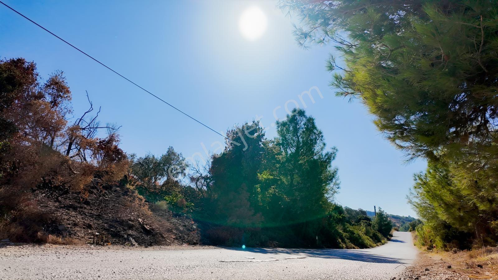 Urla Yenicede Deniz Manzaralı Tek Parsel Tek Tapu Satılık Tarla — fotoğraf 36