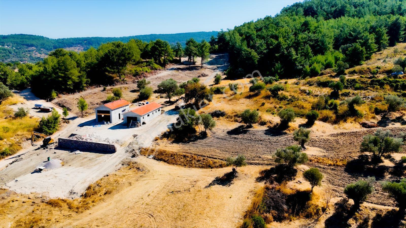 Urla Yenicede Deniz Manzaralı Tek Parsel Tek Tapu Satılık Tarla — fotoğraf 38