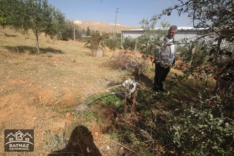 Oğuzeli Yalnızbağ'da Satılık Bağ Evi — fotoğraf 11