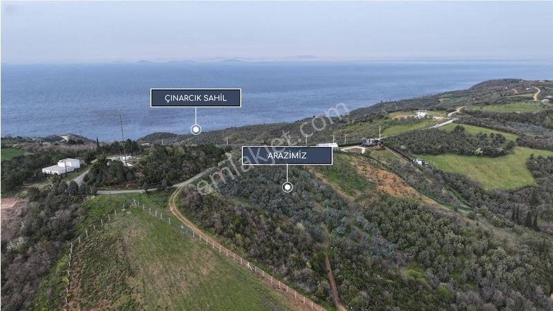 Yalova Çınarcık Şenköyde Satılık Doğa Manzaralı Parseller — fotoğraf 3