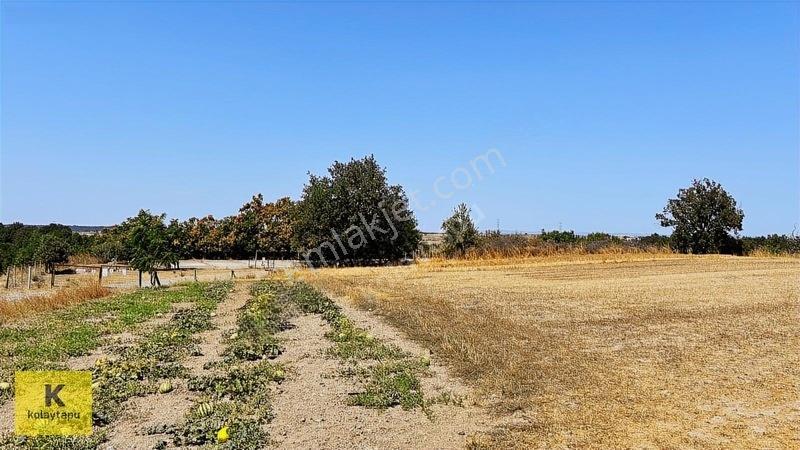 Kolaytapu Hamitabat 1010 Metrekare Satılık Arazi Ve Yaşam Alanı — fotoğraf 14