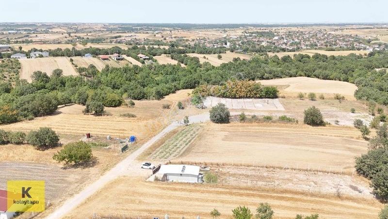 Kolaytapu Hamitabat 1010 Metrekare Satılık Arazi Ve Yaşam Alanı — fotoğraf 25