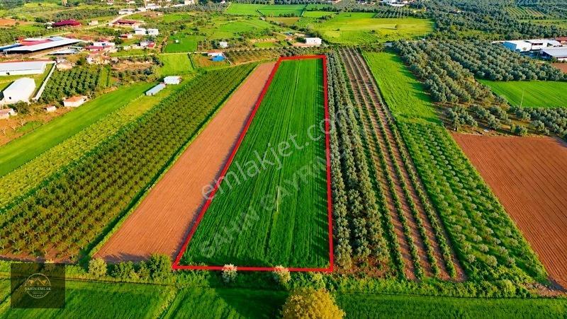 Alacalı Köyünde 6047M2 Acil Satılık Yatırımlık Kupon Tarla