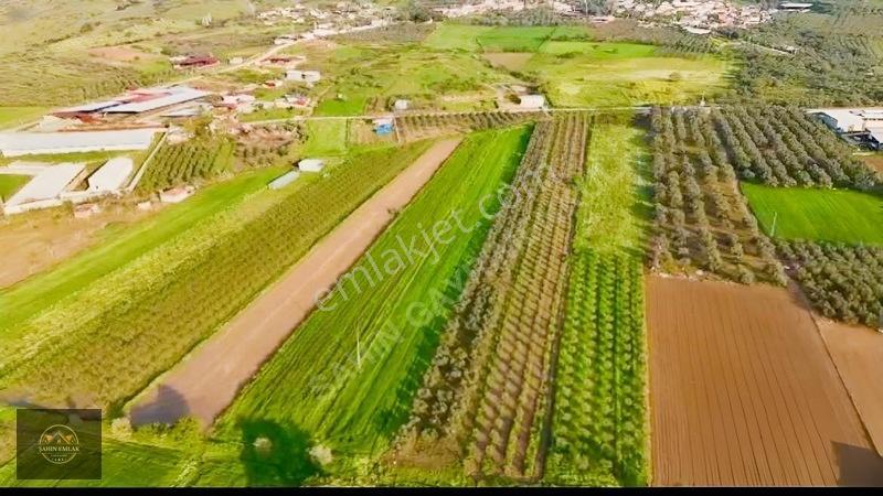 Alacalı Köyünde 6047m2 Acil Satılık Yatırımlık Kupon Tarla — fotoğraf 2