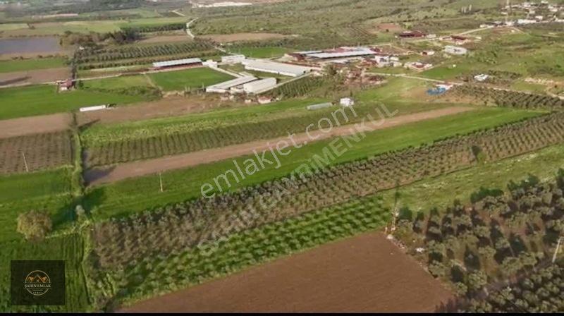 Alacalı Köyünde 6047m2 Acil Satılık Yatırımlık Kupon Tarla — fotoğraf 3