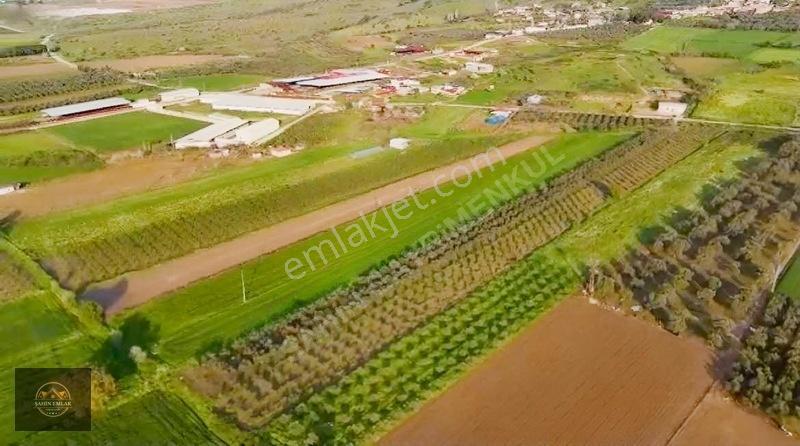 Alacalı Köyünde 6047m2 Acil Satılık Yatırımlık Kupon Tarla — fotoğraf 4