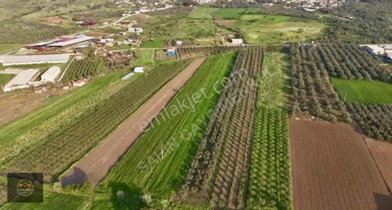 Alacalı Köyünde 6047m2 Acil Satılık Yatırımlık Kupon Tarla — fotoğraf 5
