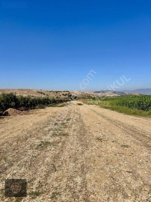 Alacalı Köyünde 6047m2 Acil Satılık Yatırımlık Kupon Tarla — fotoğraf 6