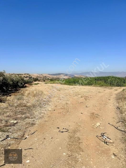 Alacalı Köyünde 6047m2 Acil Satılık Yatırımlık Kupon Tarla — fotoğraf 7