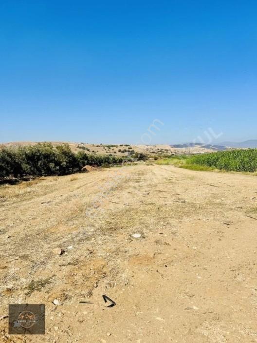Alacalı Köyünde 6047m2 Acil Satılık Yatırımlık Kupon Tarla — fotoğraf 8