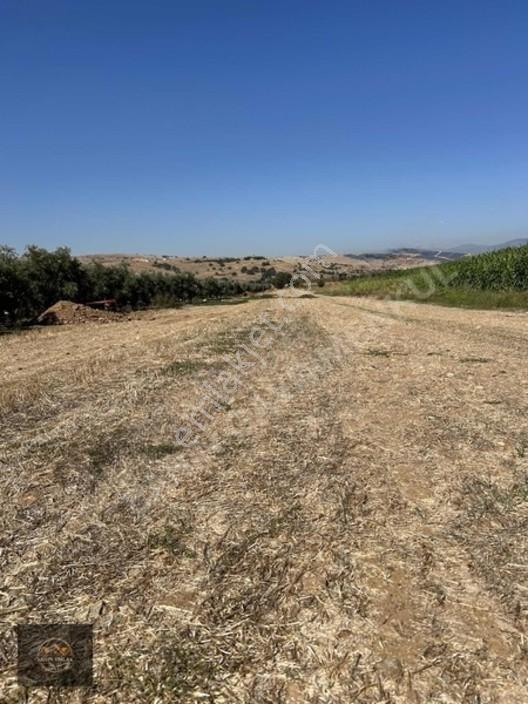 Alacalı Köyünde 6047m2 Acil Satılık Yatırımlık Kupon Tarla — fotoğraf 11