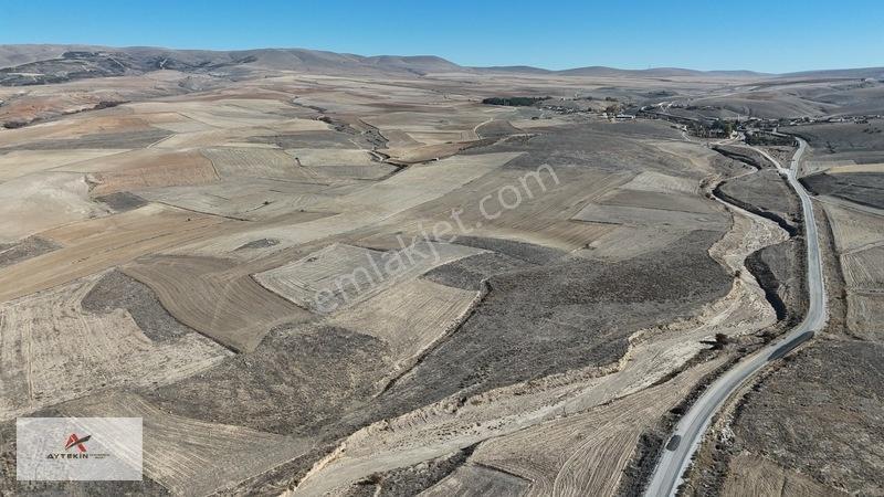 Asfalt Yola Çok Yakın Konumda 1.405 M² Müstakil Tapu Tarla — fotoğraf 11