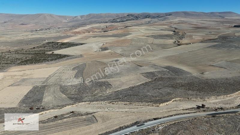 Asfalt Yola Çok Yakın Konumda 1.405 M² Müstakil Tapu Tarla — fotoğraf 13