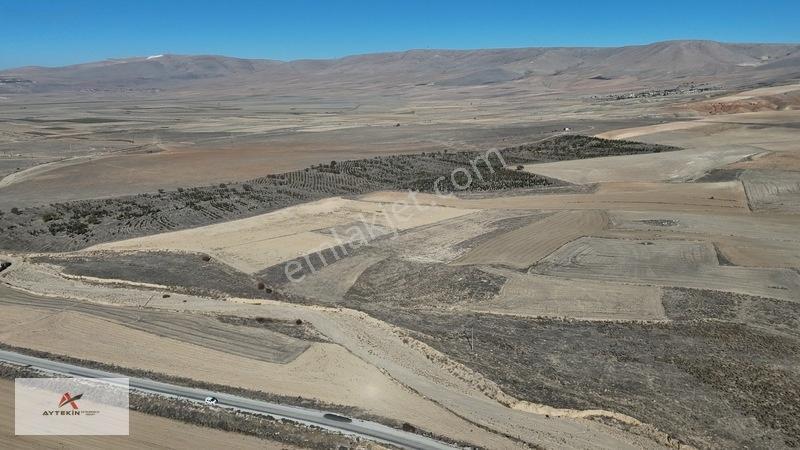 Asfalt Yola Çok Yakın Konumda 1.405 M² Müstakil Tapu Tarla — fotoğraf 15