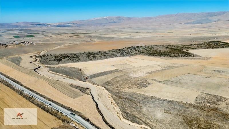 Asfalt Yola Çok Yakın Konumda 1.405 M² Müstakil Tapu Tarla — fotoğraf 16